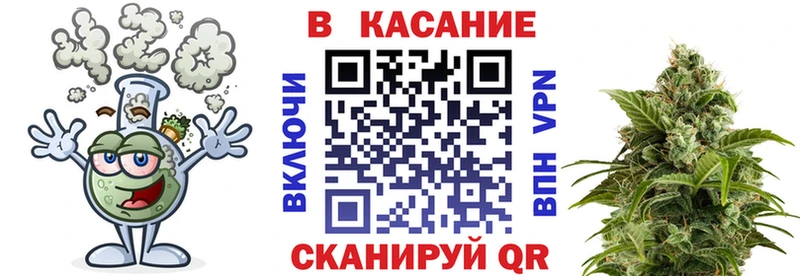 Магазины продажи наркотиков Новозыбков ГАШ  Марихуана  MEGA ССЫЛКА  A-PVP  Экстази  Меф мяу мяу  Кокаин 