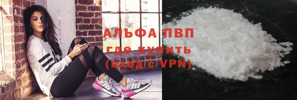 шишки Алзамай