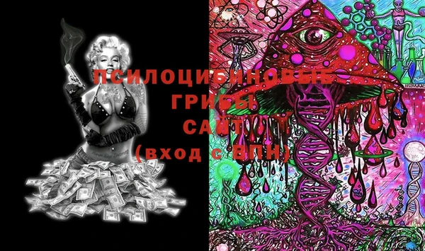 PSILOCYBIN Алексеевка