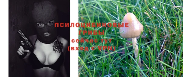 PSILOCYBIN Алексеевка
