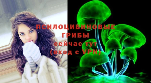 PSILOCYBIN Алексеевка