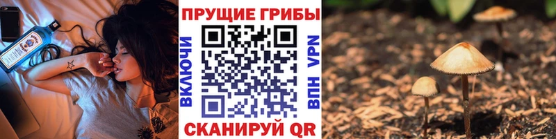 Галлюциногенные грибы MAGIC MUSHROOMS  Новозыбков 